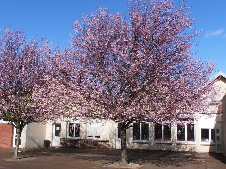 École Sainte Marie