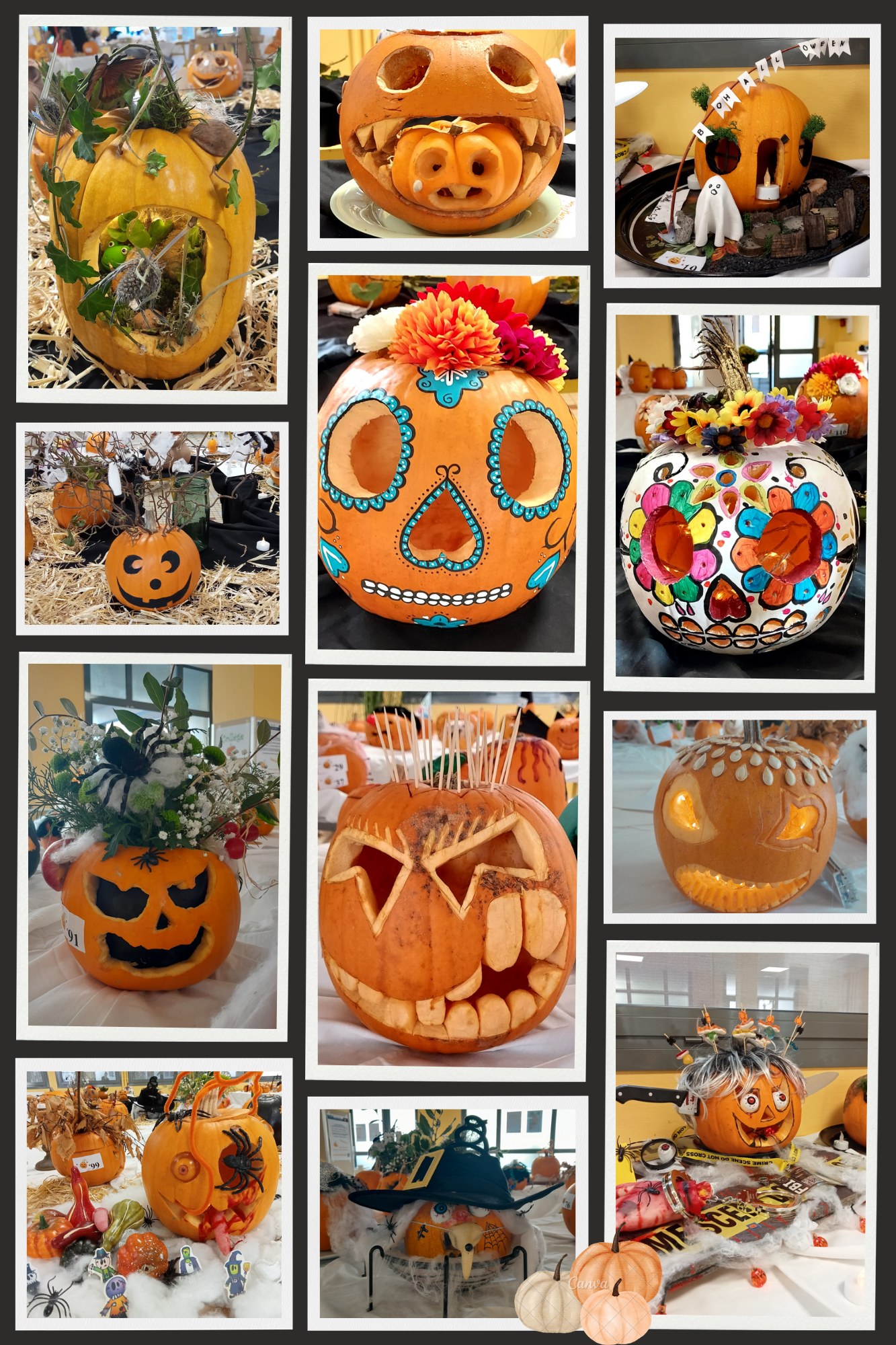 Pumpkin Day à l’école Saint-Bernard à Troyes !